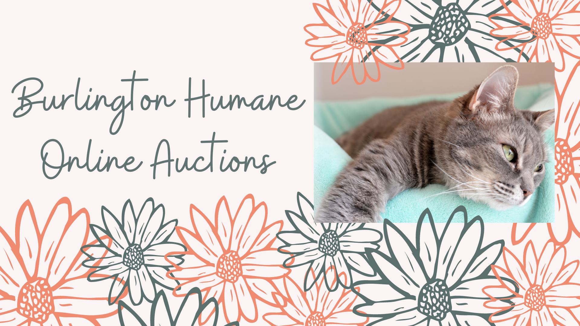Burlington Humane Society | Spring Auction 2023