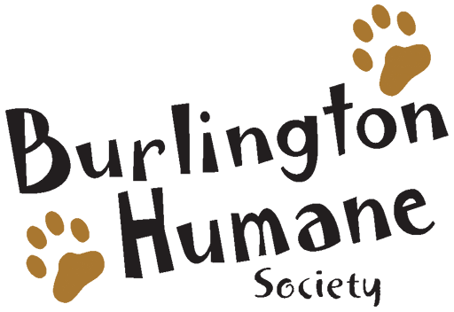Burlington Humane Society | Ontario's Premier No Kill Shelter