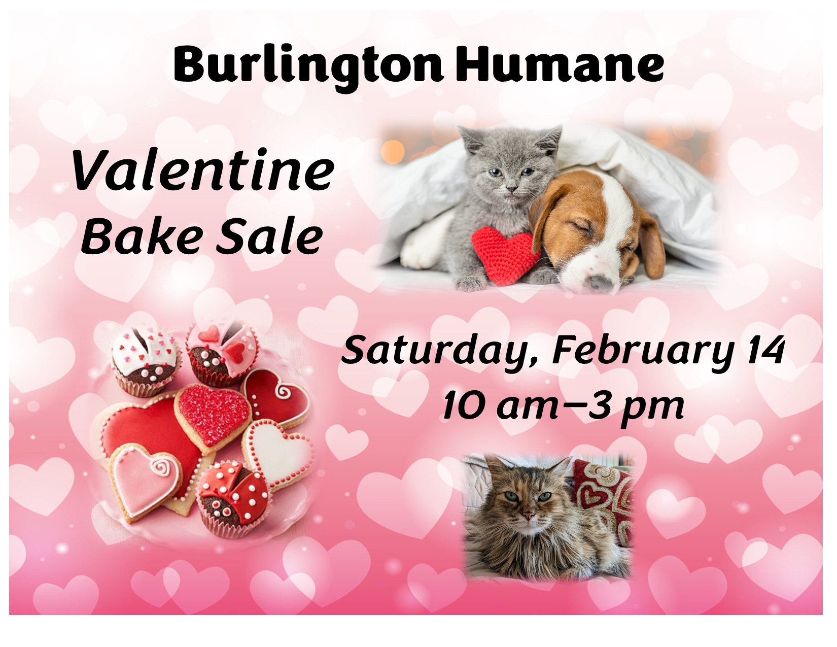 Valentine Bake Sale 2026